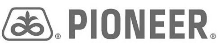 Logo PIonner
