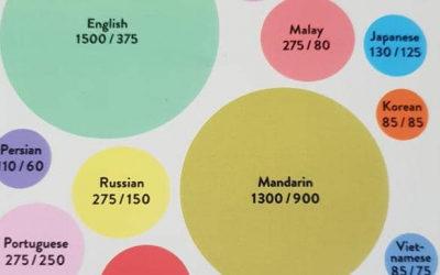 Le combat entre la technologie et l’anglais / Technology vs English